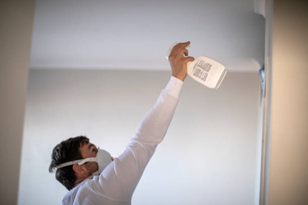 Best Localized Mold Remediation (e.g., coastal areas, humid climates) in Cobden, IL