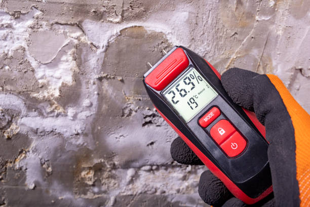 Best Residential Mold Remediation in Cobden, IL