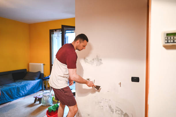 Best HVAC Mold Remediation in Cobden, IL